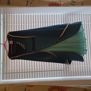 Queen Anna Costume (Frozen)